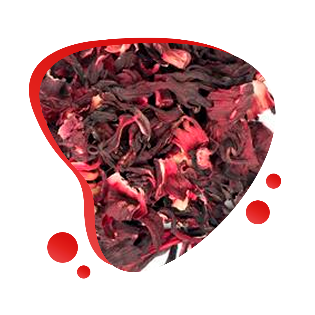 Hibisco